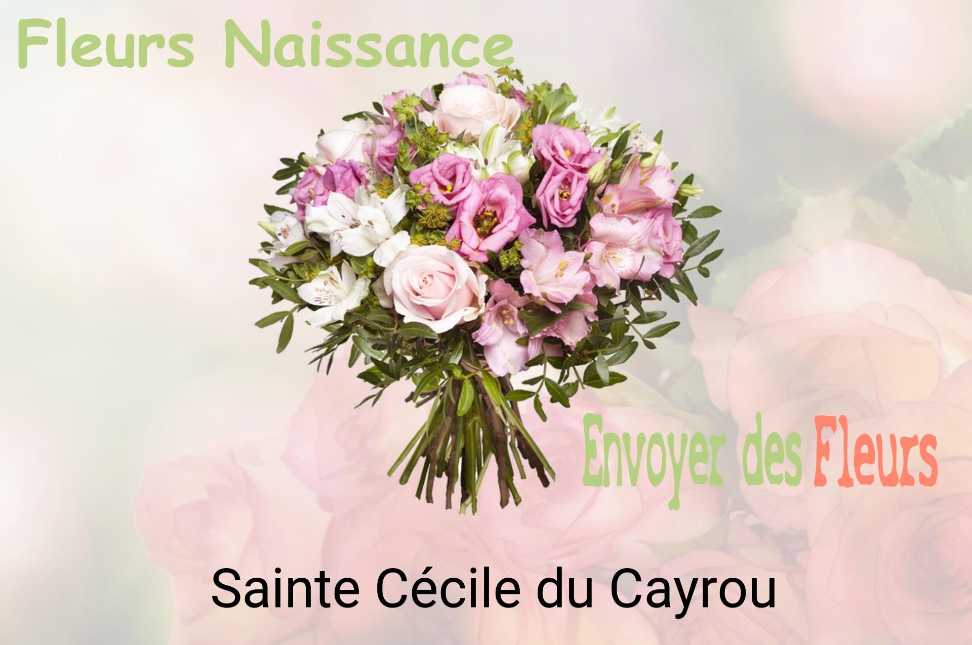 Bouquet de fleurs de naissance livré à Sainte-Cécile-du-Cayrou